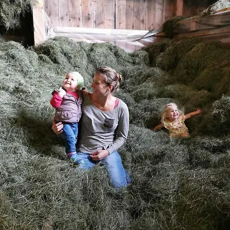 Veiter-hof نيسيلفانج